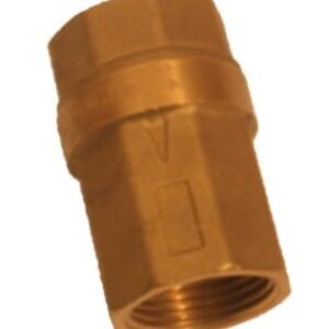 Low-Pressure Check Valve 1 1/2inch Female
