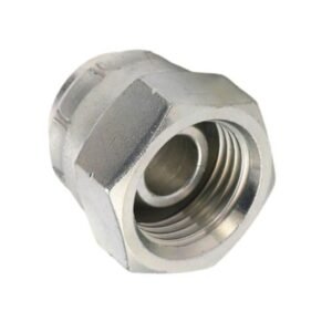 BSP 3/4" Female Swivel Cap