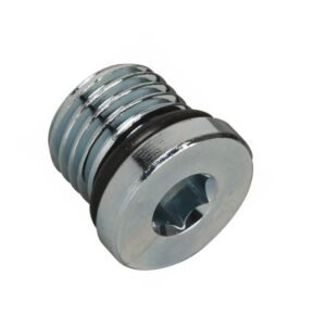 SAE M 1" In Hex Plug
