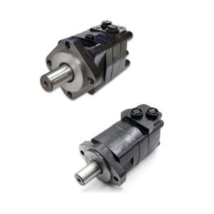 BMS Series Geroler Motor