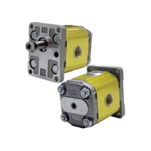 Group 2 Industrial Gear Motors